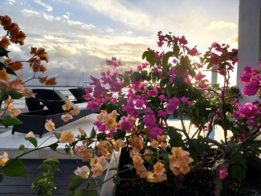 Tradewinds Apartments Simpson Bay Exteriér fotografie